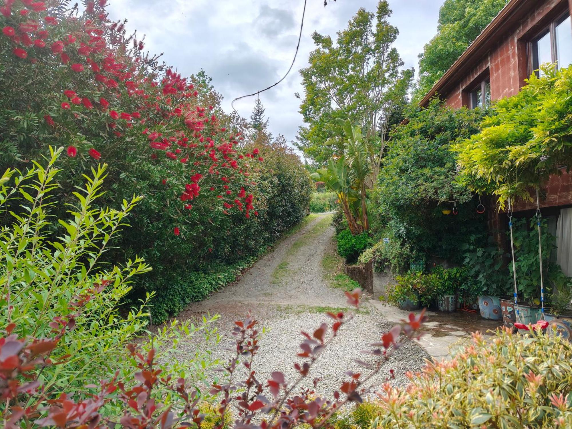 Apartamentos Rosa Jove Cabanas Bagian luar foto